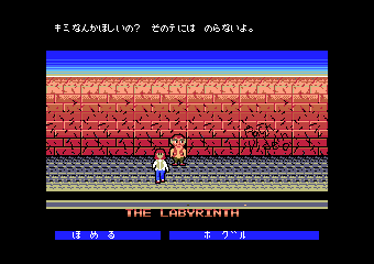 ����ݽ�����̖��{