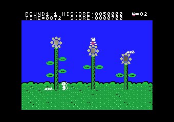 �e�L�̑�`��