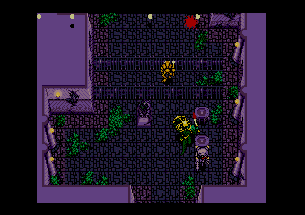 ����ްȋ���̉��