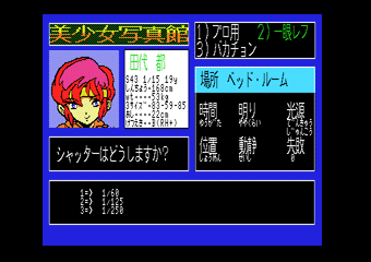 �������ʐ^�ٽ�߼������ٳި�ޮ�